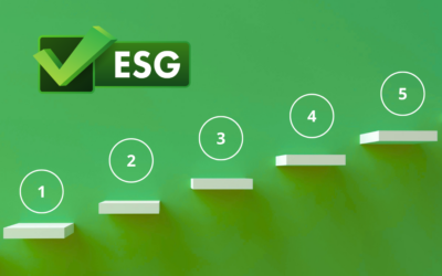 5 Steps to Prepare Your Business for ESG Compliance