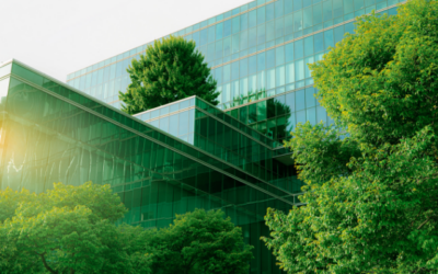 Simplifying Your Climate Reporting Obligations
